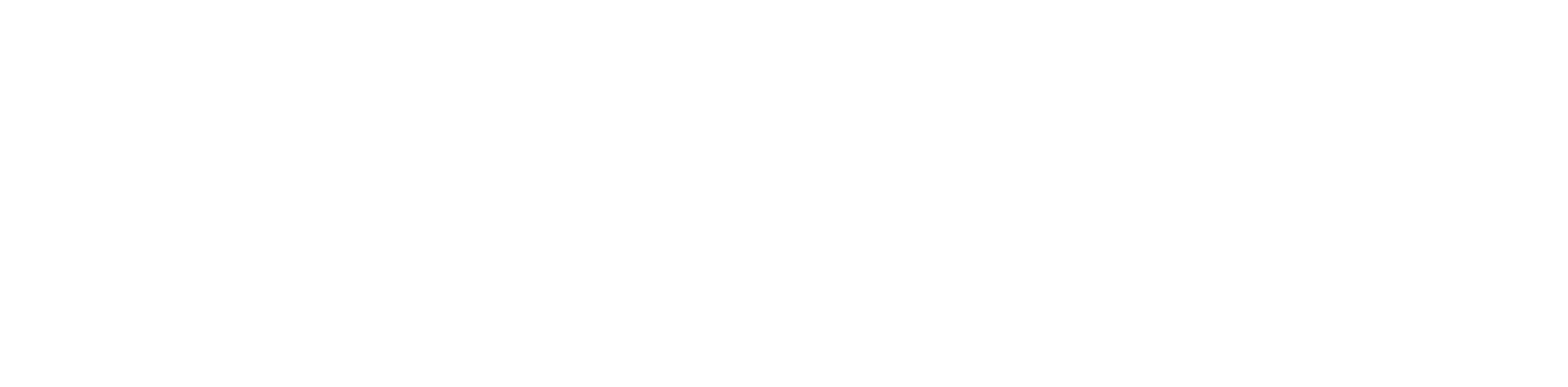 optidata